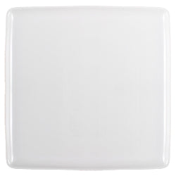 Square Dinner Plate