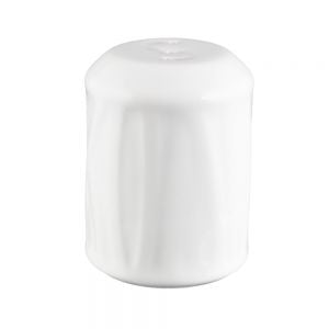 Salt Shaker
