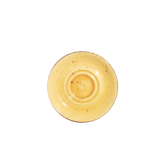 Saucer Double Well
