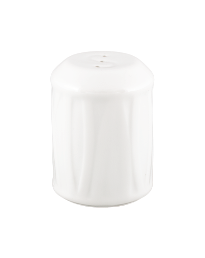 Salt Shaker
