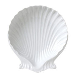 Shell Dish