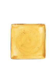 Square Plate