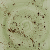 Terra Jade