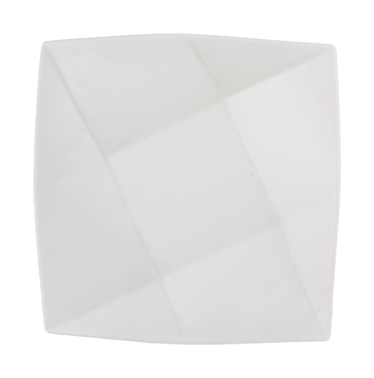 Optic Plate