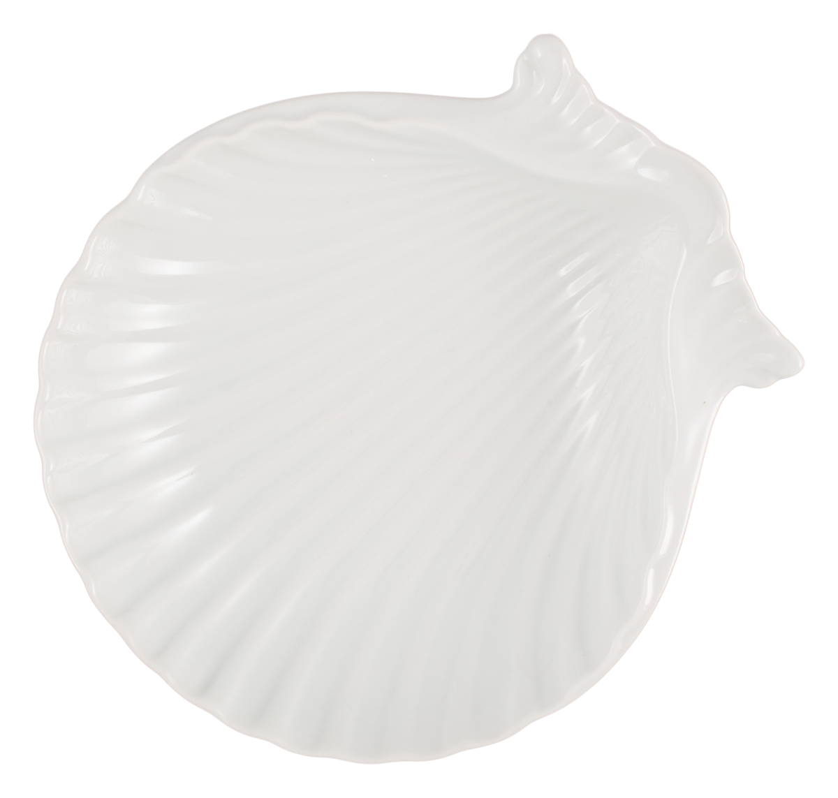 Shell Dish