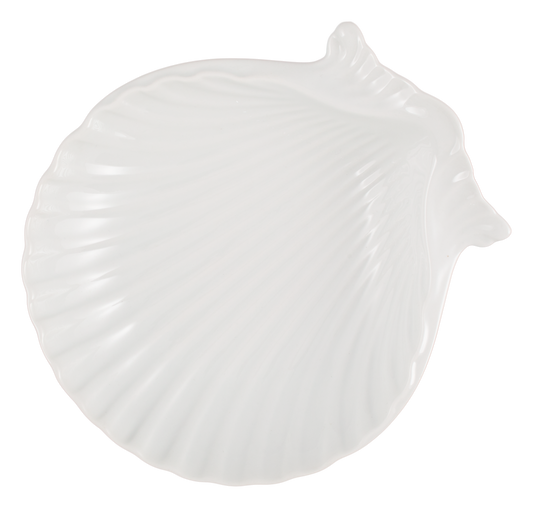 Shell Dish